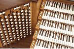 Organ of the Week