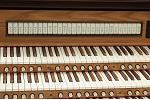 Organ of the Week