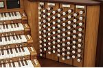 Organ of the Week