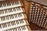 Organ of the Week