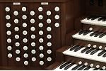 Organ of the Week