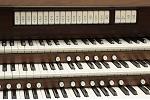 Organ of the Week