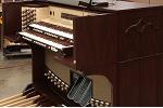 Organ of the Week