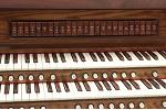 Organ of the Week