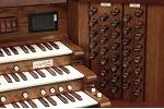 Organ of the Week