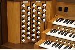 Organ of the Week