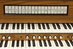Organ of the Week