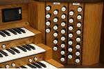 Organ of the Week