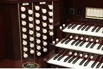 Organ of the Week