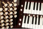 Organ of the Week