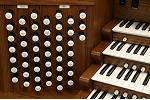 Organ of the Week
