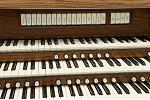 Organ of the Week