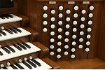 Organ of the Week