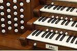Organ of the Week