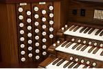 Organ of the Week