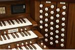 Organ of the Week