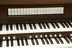 Organ of the Week
