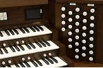 Organ of the Week