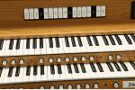 Organ of the Week