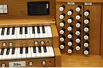 Organ of the Week