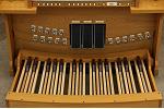 Organ of the Week