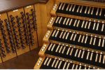 Organ of the Week