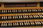 Organ of the Week