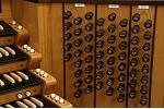 Organ of the Week