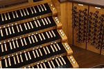 Organ of the Week