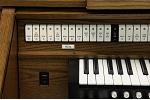 Organ of the Week