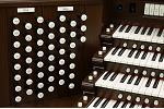 Organ of the Week