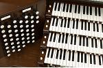 Organ of the Week