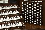Organ of the Week