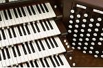 Organ of the Week