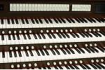 Organ of the Week