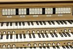 Organ of the Week
