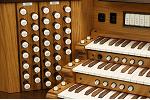 Organ of the Week