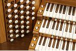 Organ of the Week