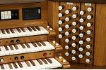 Organ of the Week