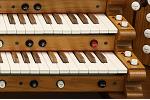 Organ of the Week