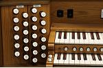 Organ of the Week
