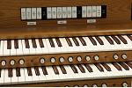Organ of the Week