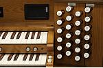 Organ of the Week
