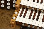 Organ of the Week