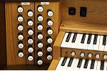 Organ of the Week