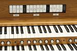 Organ of the Week