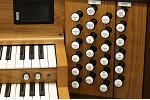 Organ of the Week