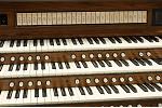 Organ of the Week