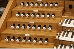 Organ of the Week