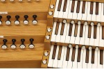 Organ of the Week